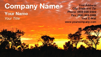Featured Designs | Nature | Ocean | Professional | Travel | Wild |--| At255837 | Beautiful | Cloud | Colorful | Environment | Indigenous | Karel Gallas | Natural | Panorama | Park | Photography | Safari | Savannah | Scenery | Scenic | Silhouette | Sunrise | Sunset | Tourism | Tree | Trees | Tropical | Vertical