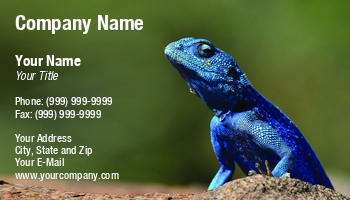 Featured Designs | Nature | Professional | Travel |--| Animal | At255838 | Crawling | Creature | Dragon | Ecologists | Ecology | Environmental | Fauna | Hunting | Karel Gallas | Lizard | Park | Pet | Pet Portrait | Photography | Reptile | Scale | Snake | Tail | Texture | Tree | Vertebrate | Wildlife