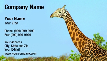 Featured Designs | Nature | Wild |--| #039 | African | African Animals | Animal Breeder | Animal Rescue | At255888 | Ecologists | Ecology | Enjoyment | Fritz Hiersche | Fur | Giraffe | Habitat | Head | Horizontal | Mammal | National Park | Pet | Pursuit | Safari | Savannas | Shot | Transport | Usually | Vacation | Zoo | Zoologist