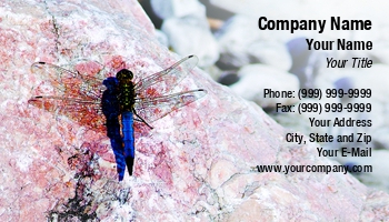 Featured Designs |--| Alive | Animal | At255907 | Biological Scientist | Biology | Bug | Climb | Creature | Damselfly | Dragon | Dragon Fly | Entomologist | Entomology | Environment | Environmental Scientist | Fritz Hiersche | Insect