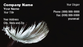 Beauty | Featured Designs | Nature |--| Abstract | Angel | Animal | Art | At250662 | Barb | Business | Elegance | Feather | Fluffy | Fly | Fragile | Fragility | Freedom | Fur | Jolanta Mayerberg | Pattern | Purity | Softness | Symbol | Wing