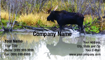 Featured Designs | Nature |--| Alces | Animal | At256604 | Autumn | Bull | Close | Curious | Deer | Elk | Elks | Forest | Horns | Hunting | Lake | Landscape | Leaves | Life | Loyal Order Of Moose | Mammal | Marsh | Meadow | Moose | National | Outdoor | Park | Portrait | Steve Estvanik | Swamp | Trees | Wildlife
