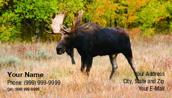 Featured Designs | Nature |--| Alces | Animal | At256610 | Autumn | Bull | Deer | Elk | Elks | Flora And Fauna | Forest | Horns | Hunting | Image | Landscape | Leaves | Life | Loyal Order Of Moose | Mammal | Marsh | Meadow | Moose | National | Outdoor | Park | Pet | Photography | Portrait | Steve Estvanik | Swamp | Trees | Walking | Wildlife