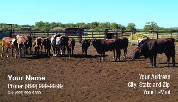 Featured Designs |--| Animal | Animal Husbandry | At250751 | Barn | Cow | Dairies And Dairy Products | Dairy | Dairy Farm | Field | Forest | Fritz Hiersche | Graze | Herd | Image | Land | Livestock | Meadow | Paddock | Pastoral | Ranch Manager | Rural | Scene | Scenery | Spots | Spotty