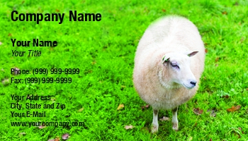 Featured Designs |--| Agriculture | Animal | At257001 | Curious | Dairy And Milk Product | Environment | Environmental Health | Ferenczi Gyorgy | Field | Lamb | Land | Landscape | Livestock | Mammal | Maternal | Meadow | Meat | Natural | Outside | Pasture | Rural | Sheep | Sheepskin Specialties | Springtime | Wool