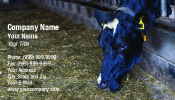 Farm | Featured Designs | Hospitality |--| Animal Id | At257186 | Barn | Black | Cattle | Cow | Culture | Dairies And Dairy Products | Dairy Farm | Eating | Farmer | Ferenczi Gyorgy | Habitat | Image | Livestock | Mammal | Milk | Pasturage | Single | Veterina | Veterinar