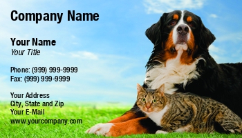 Animals | Domestic | Featured Designs | Professional |--| Adorable | At257401 | Buddy | Business | Card | Care | Cat | Defender | Defense | Devoted | Dog | Fantastic | Friend | Fun | Fur | Kitten | Kitty | Life | Love | Mammals | Michal Bednarek | Pet | Pet Grooming Supplies | Template