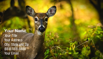 Animals | Featured Designs | Nature | Wild |--| Animal | Antlers | At257470 | Autumn | Buck | Climate | Deer | Doe | Environment | Fawn | Flora And Fauna | Forest | Grazing | Habitat | Horns | Hunting | Michael Shake | Trophy Hunting | Wildlife | Wildlife Photography