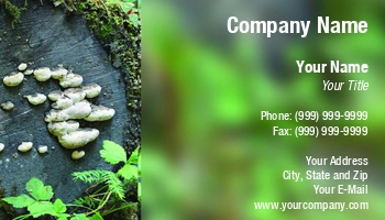 Featured Designs | Hospitality |--| Allyson Ricketts | At258004 | Autumn | Close | Delicious | Flora | Forest | Fungi | Gourmet | Healthy | Image | Ingredient | Mushroom | Mushrooms | Mycelium | Natural | Organic | Plant | Texture | Tree | Vegetarian