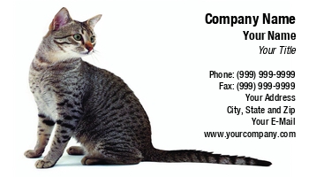 Featured Designs |--| Action | Animal | Animal Breeder | Anticipation | At258009 | Attentive | Backside | Care | Cat | Claw | Curiosity | Ecologists | Ecology | Feline | Game | Kitten | Kitty | Paw | Pedigree | Penny Williams | Pet Portrait | Pets | Purebred | Ready | Toy
