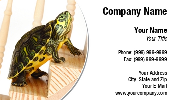 Featured Designs |--| Ambitious | Anneke Schram | At258506 | Card | Crawling | Creature | Exotic | Exotic Pets | Great | Herbivorous | Ladder | Life | Metaphor | Moving | Natural | Perseverence | Pet Shop | Pet-psychologist | Reptile | Shell | Staircase | Success | Sulcata | Tortoise | Turtle