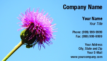 Featured Designs | Nature | Professional | Travel |--| Asteraceae | At258628 | Background | Bloom | Blossom | Blue | Field | Flora | Florist | Flower | Flowers | Gardener | Green | Guangzhi Shi | Herbaceous | Holiday | Image | Landscape | Musk | Park | Petals | Photography | Sky | Summer | Thistle | Tourism | Tropical | Vacation | Wildflower