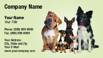 Animals | Domestic | Featured Designs | Professional |--| Animal | At258646 | Awesome | B | Bathing | Boxer | Breed | Bulldog | Business | Card | Care | Chihuahua | Devon | Dog | Dog Boarding Kennel | Dog Photographer | Dog Sitter | Dog Supplies | Dogs | Erik Lam | Friend | Fun | Kennel | Kitten | Sitting | Template