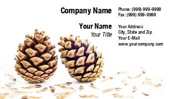 Featured Designs | Hospitality |--| Agricultural Product | Agriculture | At258881 | Autumn | Autumn Decorations | Background | Cone | Environment | Flower | Image | Natural | Ornament | Pattern | Pine | Pinecone | Plant | Seasonal | Seed | Seeds | Spores | Tomas Pavlasek | Tree | White