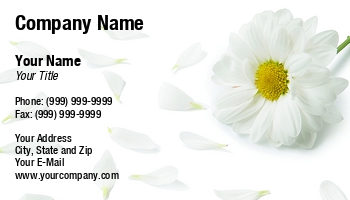 Featured Designs |--| Anniversary | At258885 | Blossom | Botany | Bouquet | Business | Daisy | Decoration | Environment | Florist | Flower | Foliage | Gift | Love | Occupation | Petal | Tomas Pavlasek | Valentine