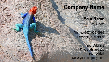 Featured Designs |--| Agama | Amblyrhynchus | Animal | At258892 | Crawl | Dragon | Exotic | Forest | Headed | Iguana | Insect | Ivan Paunovic | Lizard | Marine | Monster | Pet | Red | Reptile | Rock | Skin | Stone | Summer | Sun | Tropical | Turquoise | Wildlife | Zoology