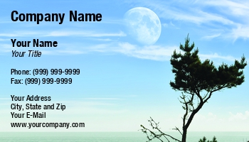 Beach | Countryside | Featured Designs | Nature | Ocean | Professional | Travel |--| At258894 | Backgrounds | Business | Coastal | Destination | Early | Holiday | Island | Ivan Paunovic | Landscape | Moon | Moonrise | Natural | Occupation | Photo | Photography | Pine | Romantic | Sea | Summer | Sunrise | Tourism | Tranquil | Tree | Tropica | Winter