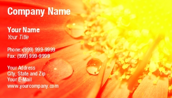 Featured Designs |--| Aroma | Art | At258980 | Background | Bokeh | Border | Closeup | Colors | Concept | Decorative | Design | Drops | Environmental | Florist | Flower | Flowers | Holiday | Image | Michal Bednarek | Orange | Orchid | Pastel | Pattern | Petals | Ph | Plant | Water | Water Damage | Yellow