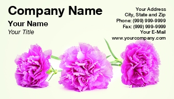 Featured Designs |--| At259138 | Background | Beautiful | Blossom | Botanical | Botany | Bouquet | Carnation | Crimson | Environmental | Flora And Fauna | Florist | Flower | Flowers | Gift | Greeting | Holiday | Love | Natural | Petal | Photography | Pink | Tomas Pavlasek | Yellow