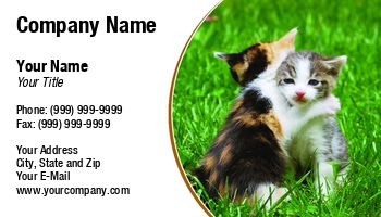 Featured Designs | Hospitality |--| Adorable | Animal Registration | Animal Trainer | At259278 | Bobbin | Catch | Cats | Companion | Curiosity | Curious | Feline | Grass | Guard | Healthy | Hug | Ivan Paunovic | Kittens | Mammal | Pet | Petcare | Photography | Playing | Pose | Sitter | Supplier