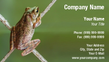 Featured Designs | Nature | Wild |--| Agalichnis | Amphibian | Animal | At259421 | Callidrias | Ecologists | Ecology | Environment | Exotic | Fence | Forest | Frog | Herpetology | Image | Jungle | Nocturnal | Pet | Sitting | Suphatthra China | Tree | Tropical | Tropics | Wildlife | Zoo | Zoologist