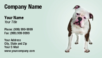 Animals | Domestic | Featured Designs | Professional |--| Animal | At260173 | Background | Beagle | Blue | Boarding | Bulldog | Business | Canine | Care | Cat | Clinic | Creature | Dog | Dog Boarding | Erik Lam | Feline | Groomer | Handler | Healthcare | Image | Isolated | Job | Lying | Mammal | Occupation | Pedigree | Pet | Playful | Practi