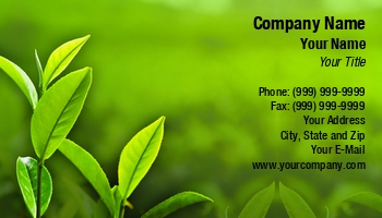 Beauty | Featured Designs | Garden | Nature | Trades |--| At261103 | Background | Beautiful | Blur | Blurry | Blurs | Close | Color | Design | Effect | Field | Flora | Focus | Fresh | Grass | Green | Greenhouse | Image | Leaves | Light | Meadow | Nagy Melinda | Park | Plant | Plant Nursery | Scenic | Season