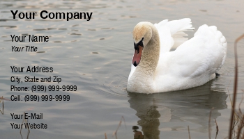 Featured Designs | Wild |--| At261245 | Bird | Duck Hunting | Grace | Green | Image | Lake | Lakes | Mamuka Gotsiridze | Peace | Swan | Swimm | White | White Duck | Wildlife