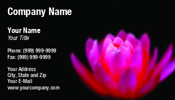 Featured Designs | Garden | Trades |--| Asia | At262119 | Attractive | Background | Beautiful | Biological Science Teacher | Biology | Black | Bloom | Blossom | Botanical | Botany | Dark | Effloresce | Exotic | Flourish | Flower | Flowers | Fragrant | Image | Lotus | Natural | Nelumbo | Oriental | Petal | Pink | Plant | Pure | Shi Yali