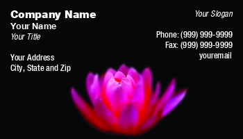 Featured Designs | Garden | Trades |--| Asia | At262121 | Attractive | Background | Beautiful | Biology | Black | Bloom | Blossom | Botanical | Botany | Closeup | Dark | East | Effloresce | Exotic | Flourish | Flower | Flowers | Fragrant | Image | Lotus | Louts | Middle | Natural | Nelumbo | Oriental | Petal | Pink | Plant | Pure | Shi Yali