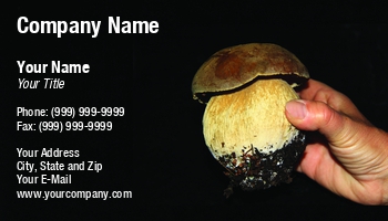 Cooking | Featured Designs | Food | Hospitality | Nature | Wild |--| Agricultural Science Teacher | At260380 | Autumn | Boletus Edulis | Close | Culinary | Dainty | Delicacy | Delicious | Environment | Forest | Gourmet | Hand | Healthy | Image | Ingredient | Jolanta Mayerberg | Mushroom | Natural | Organic | Showing