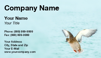 Featured Designs | Nature | Wild |--| Animal | At264835 | Avian | Bird | Birds Flying | Birds In Flight | Bruce Macqueen | Duck | Ducks Flying | Female | Flying | Image | Lake | Landing | Mallard | Pond | Wanter | Waterfowl | Wildlife