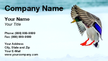 Featured Designs | Nature |--| Animal | At264836 | Bird | Bruce Macqueen | Drake | Duck | Duck Hunting | Flight | Flying | Image | Landing | Male | Male Mallard | Mallard | Waterfowl | Waterfowl Hunting | Wildfowl | Wildlife