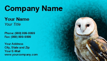 Featured Designs | Nature | Wild |--| Alert | Animal | At264845 | Avian | Background | Barn | Barn Owl | Beautiful | Bird | Closeup | Clouds | Image | Looking | Michael Shake | Owl | Perched | Perching | Predator | Raptor | Sky | Tyto Alba | Watching | White | Wildlife