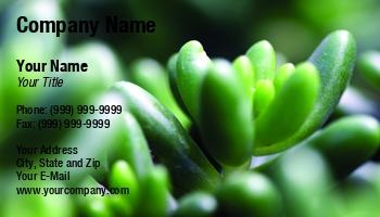 Featured Designs |--| At260594 | Biological Science Teacher | Climate | Close | Florist | Foliage | Gardener | Green | Guatemalense | Henrik Lehnerer | Leaf | Lush | Macro | Madeira | Natural | Ornamental | Pattern | Petal | Plant | Sedum | Summer | Vegetation | Wallpaper