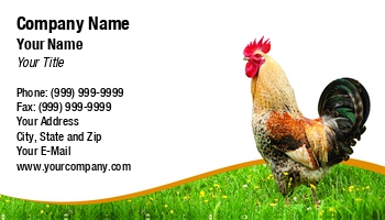 Animals | Countryside | Domestic | Family | Farm | Featured Designs | Food | Hospitality | Nature | People |--| Aerial | Agriculture | Animal Trainer | At265569 | Bird | Brown | Chicken | Cock | Cockerel | Detail | Elegant | England | Environment | Farming | Feather | Feathers | Grass | Hospi | Image | Petr Jilek | Standing