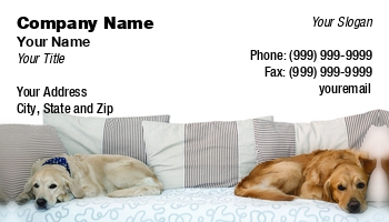 Featured Designs |--| Animal Shelter | At266584 | Baby | Bed | Beds-mattresses | Breed | Canine | Cute | Dog | Dog Boarding Kennel | Dog Care | Dog Daycare | Dog Photographer | Dog Sitter | Dog Supplies | Doggy | Dogs | Friend | Image | Isolated | Laying | Looking | Lying | Mamm | P | Pedigree | Pet | Petr Jilek | Portrait | Pup | Puppies | Puppy | Purebred | Seating