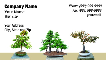 Featured Designs |--| Art | Asia | Asian | At266992 | Beautiful | Bonsai | Bosai | Botanical | Botany | Branch | China | Chinese | Decoration | Different | Dwarf | Gardening | Hobby | Hobby Shop | Houseplant | Image | Isolated | Japanese | Leaf | Miniature | Petr Jilek | Tree Pruner | Trees