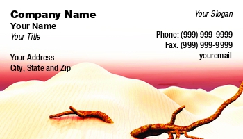 Desert | Featured Designs | Nature |--| Astrid Van Der Eerden | At267514 | Business | Card | Daylight | Dry | End | Environment | Geographe | Golden | Heat | High | Hot | Plant | Sahara | Sand | Sand Dunes | Sanddune | Sandy | Scenic | Solitude | Sun | Template | Tracks | Travelling | United Arab Emirates | Vacation | Wave