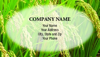 Farm | Featured Designs | Hospitality |--| Agricultural | Agricultural Manager | Agricultural Science Teacher | Agriculture | At267830 | Background | Barley | Blue | Bread | Bright | Cereal | Cloud | Color | Corn | Country | Crop | Dry | Field | Grain | Grow | Growth | Harvest | Image | Organic Farm | Shi Yali