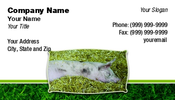 Featured Designs |--| Animal | Animal Husbandry | At267853 | Austria | Austrian | Barn | Boar | Breeding | Eating | Farming | Farmstead | Feeder | Feeding | Fritz Hiersche | Group | Hog | Horizontal | Image | Industrial | Industry | Landrace | Livestock | Mamma | Pig | Pig Farming | Sleeping