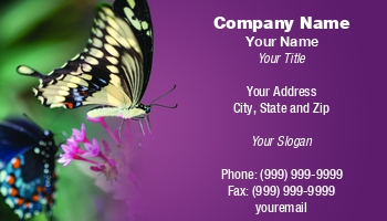 Featured Designs | Nature |--| At268855 | Beautiful | Butterfly | Colorful | Entomologist | Environment | Environmental Activist | Fly | Henrik Lehnerer | Insect | Lavender | Natural | Nature Beauty | Papilio Cresphontes | Species | Spring | Tranquility | Wildlife