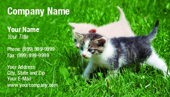 Animals | Domestic | Farm | Featured Designs | Garden | Nature | Trades |--| Adorable | Animal Doctor | Animal Trainer | Artificial Grass | At260904 | Boarding | Breed | Cat | Feline | Field | Grass | Healthy | Image | Ivan Paunovic | Kitten | Kittens | Lawn | Mammal | Meadow | Park | Pedigree | Pet | Portrait | Supplier | Sweet | Terrier | Walking