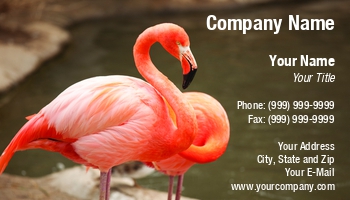Featured Designs | Nature |--| Andy Dean | Animal | At260907 | Avian | Beautiful | Bird | Couple | Ecologists | Ecology | Environmental | Exotic | Flamingo | Landscape | Natural | Ornithology | Rest | Scene | Spring | Tropical | Water | Wildlife | Zoo | Zoologist