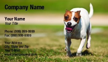 Featured Designs | Nature | Professional |--| Andy Dean | Animal | At260910 | Breed | Business | Canine | Care | Dog | Dog Trainer | Energetic | Enjoyment | Fun | Game | Grass | Jack | Park | Pet | Photography | Purebred | Runs | Russell | Sitter | Sport | Supplier | Swim | Terrier | Water