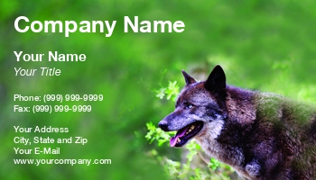 Animals | Featured Designs | Nature | Wild |--| Animal | At272548 | Background | Beast | Boss | Canine | Canis | Canis Lupus | Carnivore | Dangerous | Dog | Dog Photographer | Dog Supplies | Eye | Eyes | Face | Gray | Greenery | Grey | Hiding | Hunter | Image | Jolanta Mayerberg | Look | Lupus | Mammal | Mammals | Natural | Nose | Portrait | Predator | Stare | Wolf