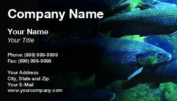 Animals | Featured Designs | Food | Hospitality | Nature | Sports | Swimming |--| Achim Prill | Animal | Aquariums | At273692 | Elegance | Fin | Fish | Fish Farm | Fish Hatchery | Fresh | Freshwater | Group | Pectoral | River | Salmon | School | Seafood | Spotted | Swarm | Tail | Trouts | Trutta | Water