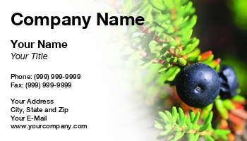 Featured Designs | Fruit | Nature | Trades |--| Agricultural Manager | Agricultural Science Teacher | At274681 | Berry | Blackberry | Botany | Crowberry | Dof | Edible | Empetrum | Empetrum Nigrum | Farm Fresh | Forest | Fresh | Health And Fitness | Healthy | Image | Natural | Nigrum | Nutrition | Organic | Plant | Shallow | Shrub | Taina Sohlman