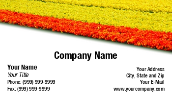 Featured Designs |--| Agricultural | Agriculture | At274849 | Beautiful | Botanical | Botany | Bulb Field | Business | Card | Colorful | Dutch | Farming | Farmland | Field | Flower | Flower Bed | Flower Garden | Gardener | Holland | Jan Kranendonk | Land | Landscape | Netherlands | Petal | Template | Tour Escort