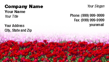 Creative | Featured Designs |--| Agricultural | Agriculture | At274852 | Beautiful | Botanical | Botany | Bulb Field | Business | Card | Colorful | Dutch | Farming | Farmland | Field | Florist | Flower | Flower Bed | Flower Garden | Holland | Jan Kranendonk | Land | Landscape | Netherlands | Petal | Template | Tour Escort